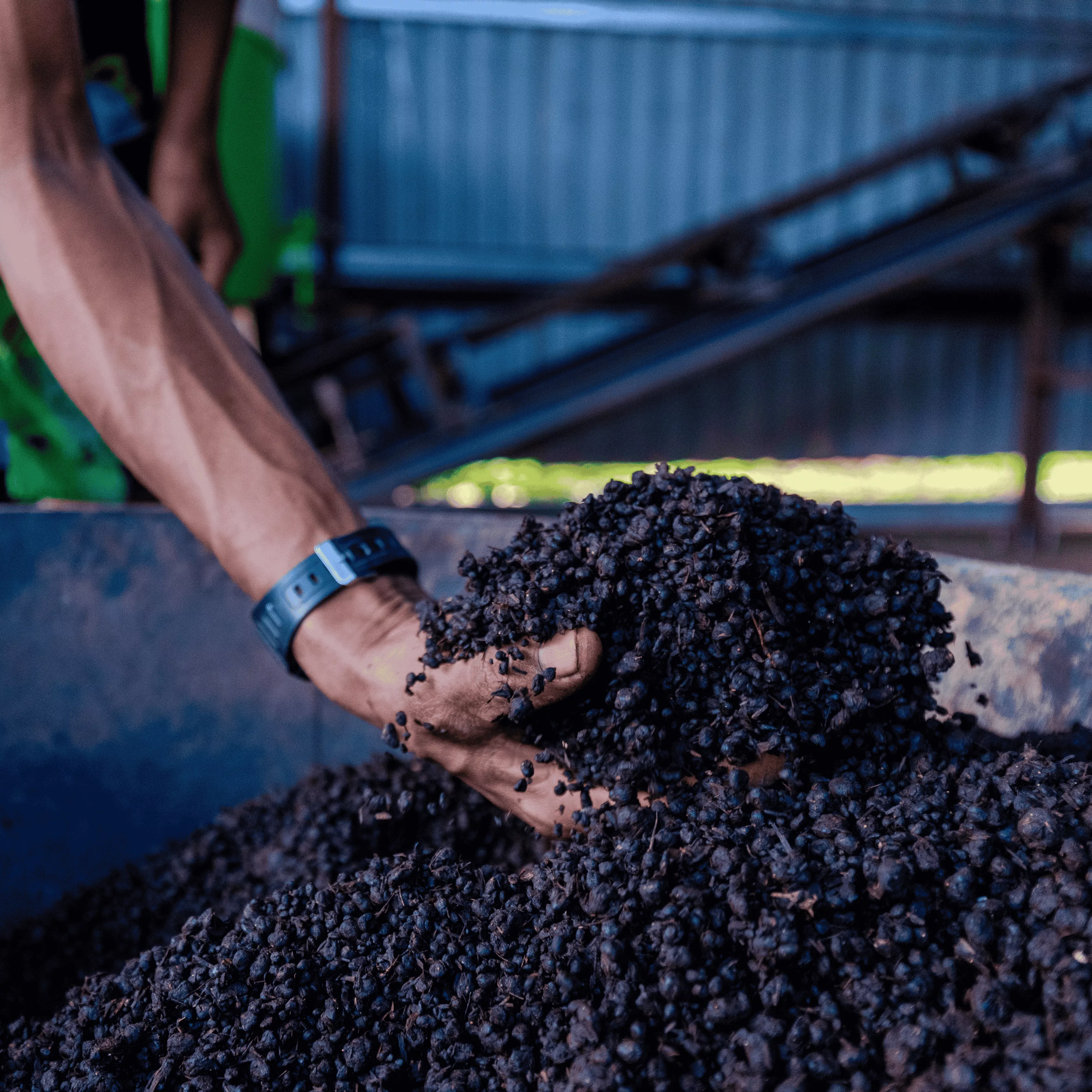 Close-up of nutrient-dense soil in hand, created using SeaLife Organics natural seaweed compost