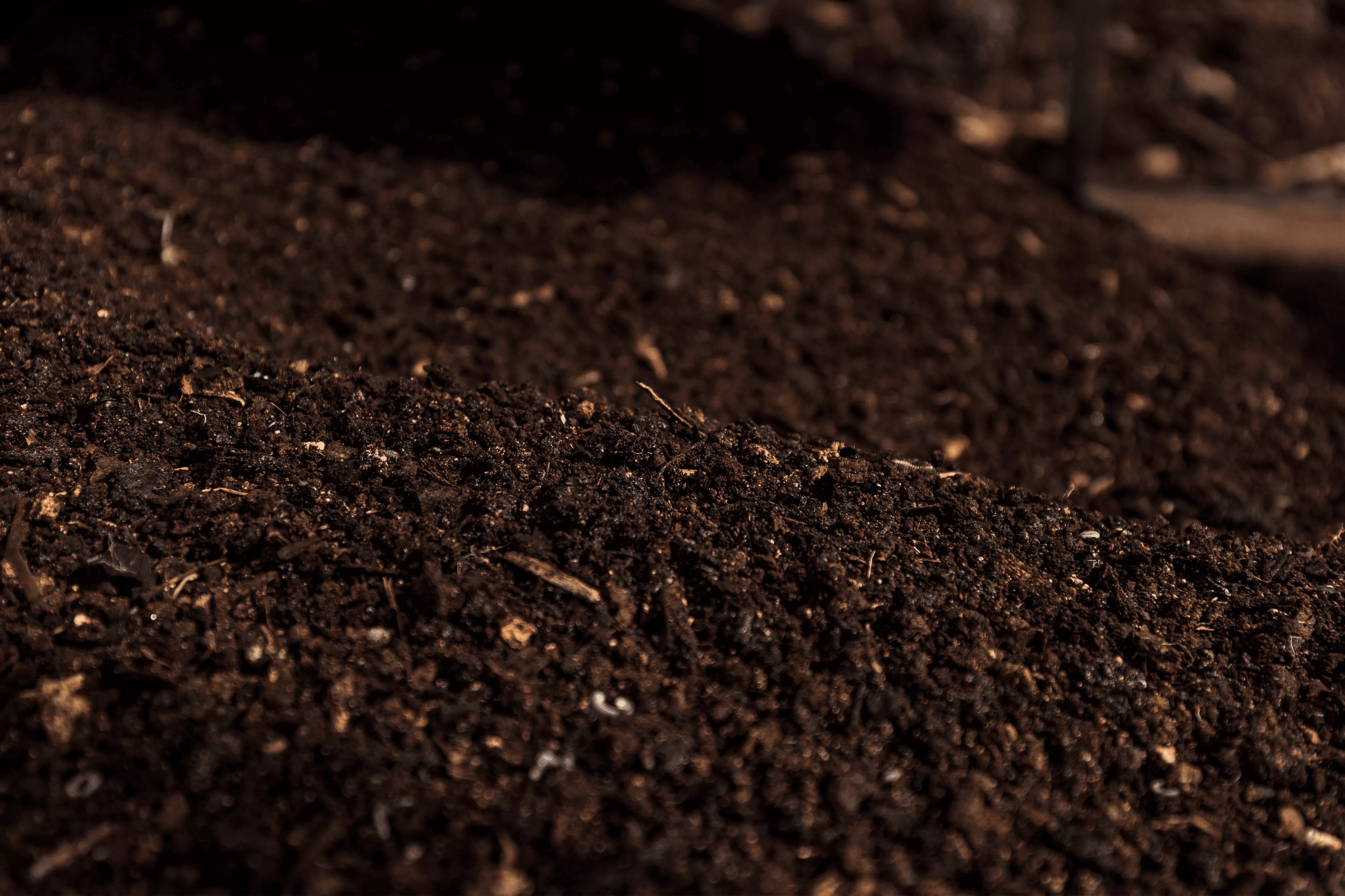 Organic seaweed compost by SeaLife Organics for healthy, nutrient-rich garden soil