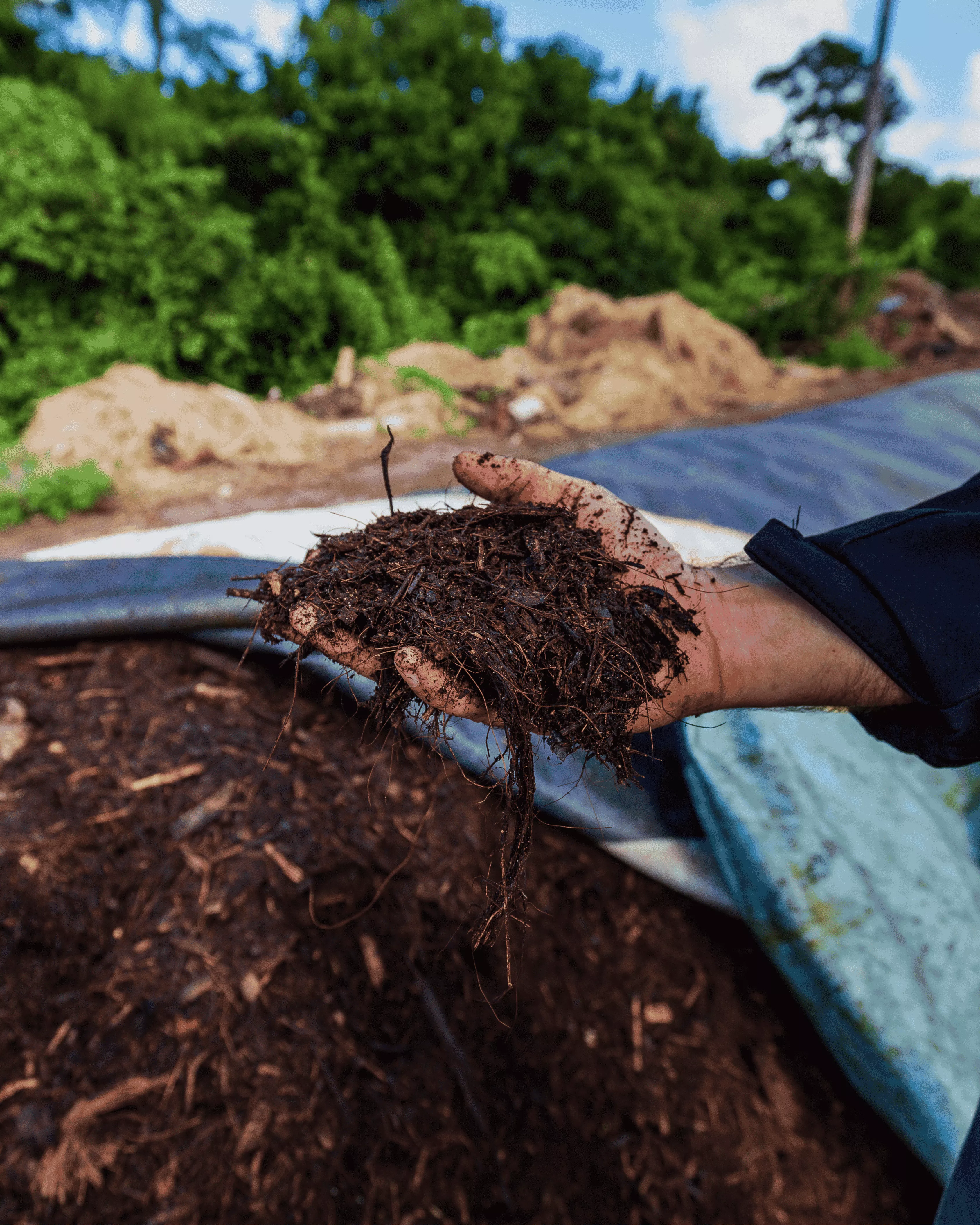 Close-up of nutrient-dense soil in hand, created using SeaLife Organics natural seaweed compost